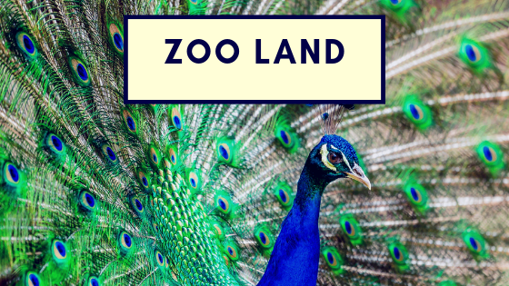 Zoo Land